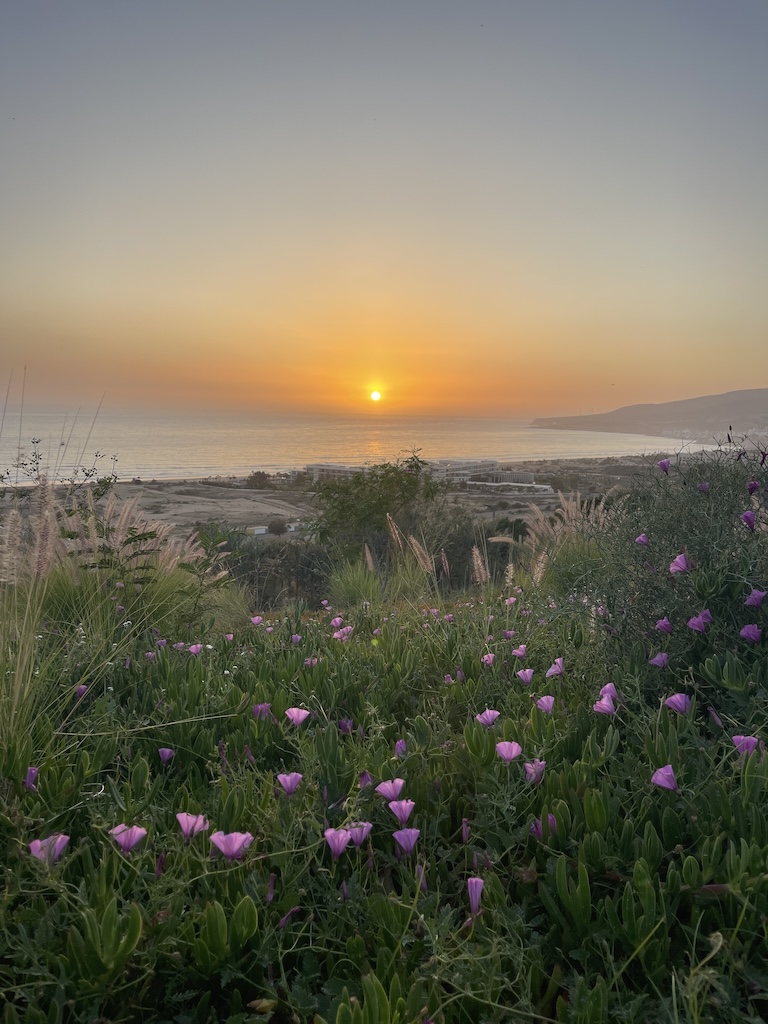 Retraite Ose ! Yoga & surf à Taghazout – Maroc avec Sofia & Sofia